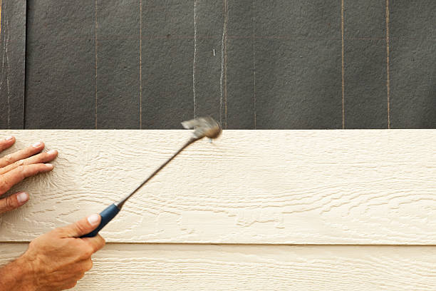 Best Historical Building Siding Restoration  in Oakland, IA